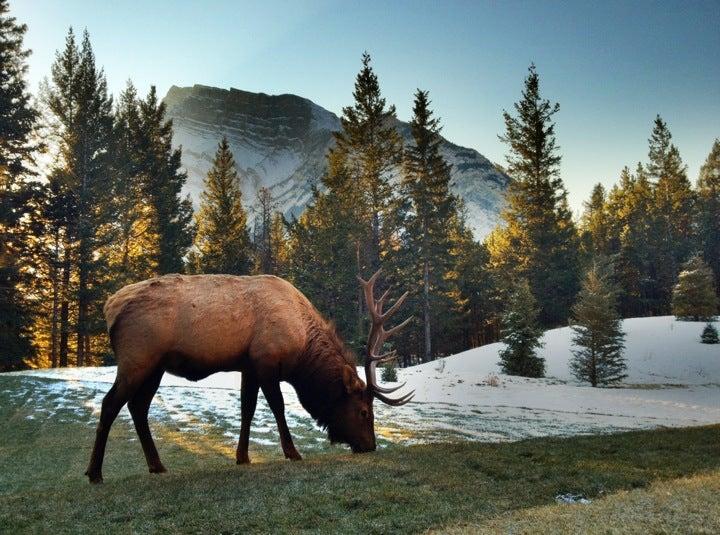 Banff National Park Visitor Center