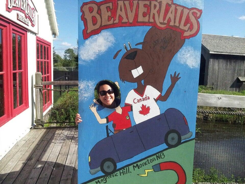 BeaverTails