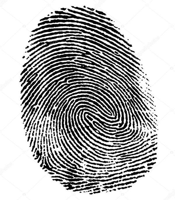 A1 FINGERPRINTING SERVICES