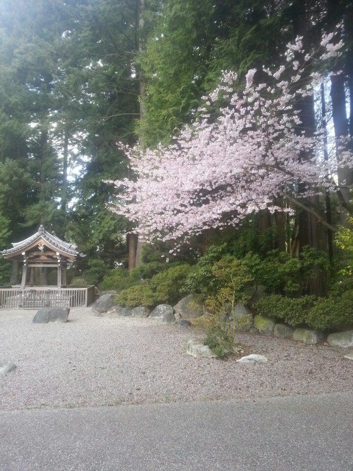 Draft:UBC Asian Centre