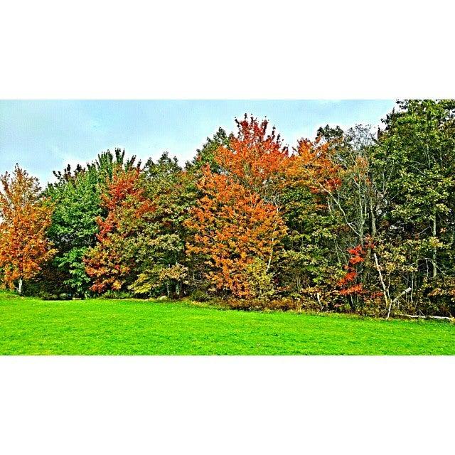 Lake Banook Regional Park