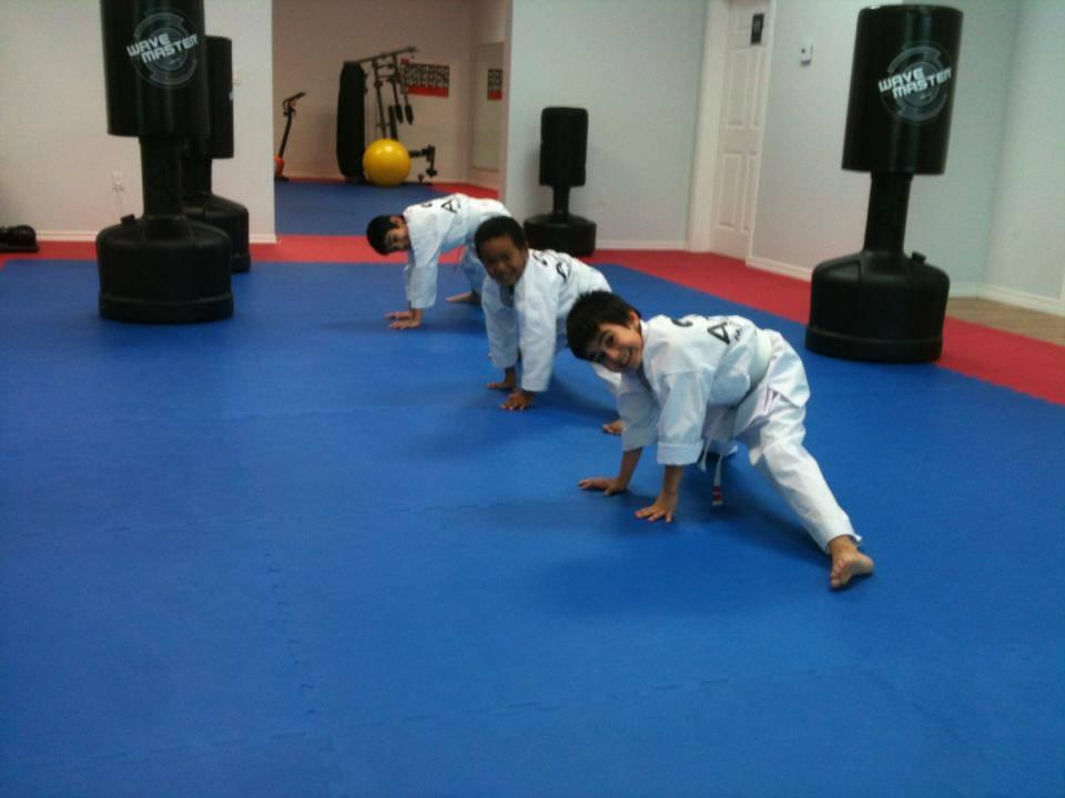 Aries Martial Arts Academy