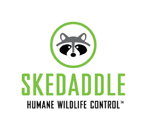 Humane Wildlife Control