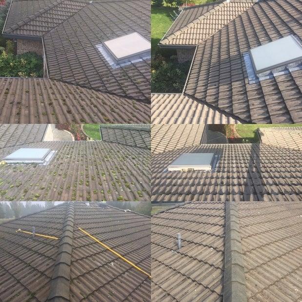 Coastal Roof Cleaning Experts