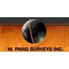 W Pang Surveys