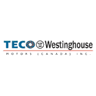 TECO-Westinghouse Motors Inc