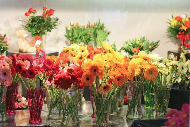 Fleuriste Terrafolia Flowers