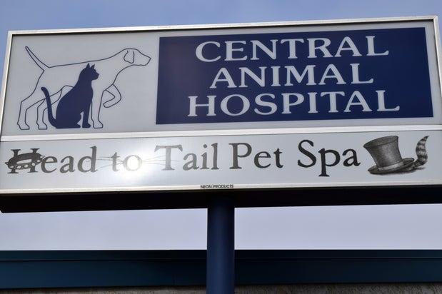 Head To Tail Pet Spa