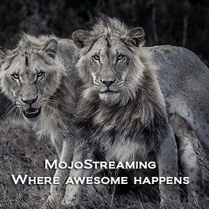 Mojostreaming Ltd