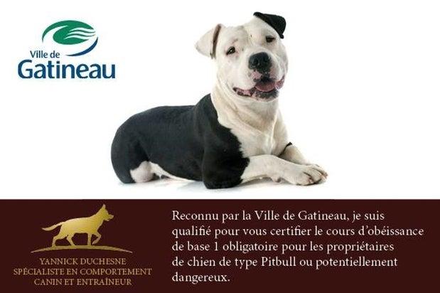 Yannick Duchesne Spécialiste en Comportement Canin