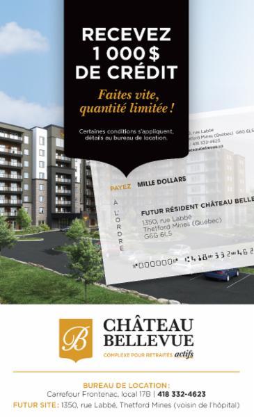 Chateau Bellevue De Thetford Mines