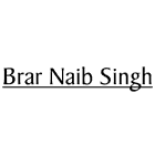 Brar Naib Singh