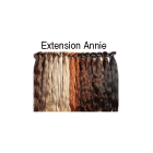 Extension Annie