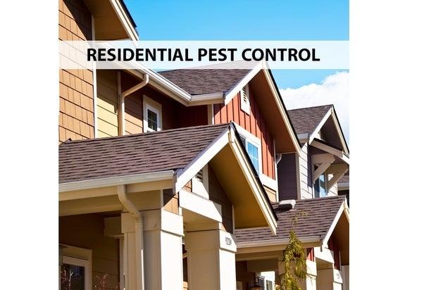 Pestend Pest Control Mississauga