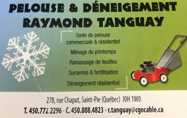 Entretien De Pelouse R Tanguay