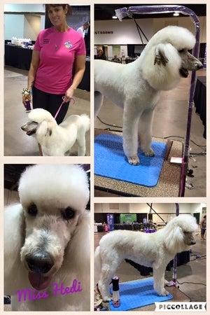 Barks N' Bubbles Pet Spa Inc