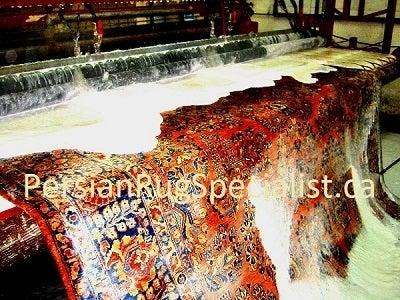 Persian Rug Specialist