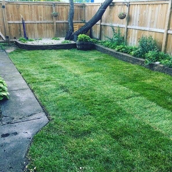 Versatile Lawn Solutions