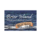 Brier Island Whale and Seabird Cruises