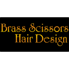 Brass Scissors Hair Designs