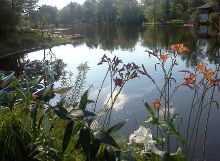 Eau Soins du Lac Lise Bernier Orthothérapeute & Massothérapeute