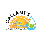 Gallant Gleam & Clean