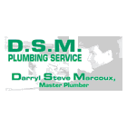 DSM Plumbing & Water Systems