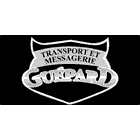 Transport et Messagerie Guépard