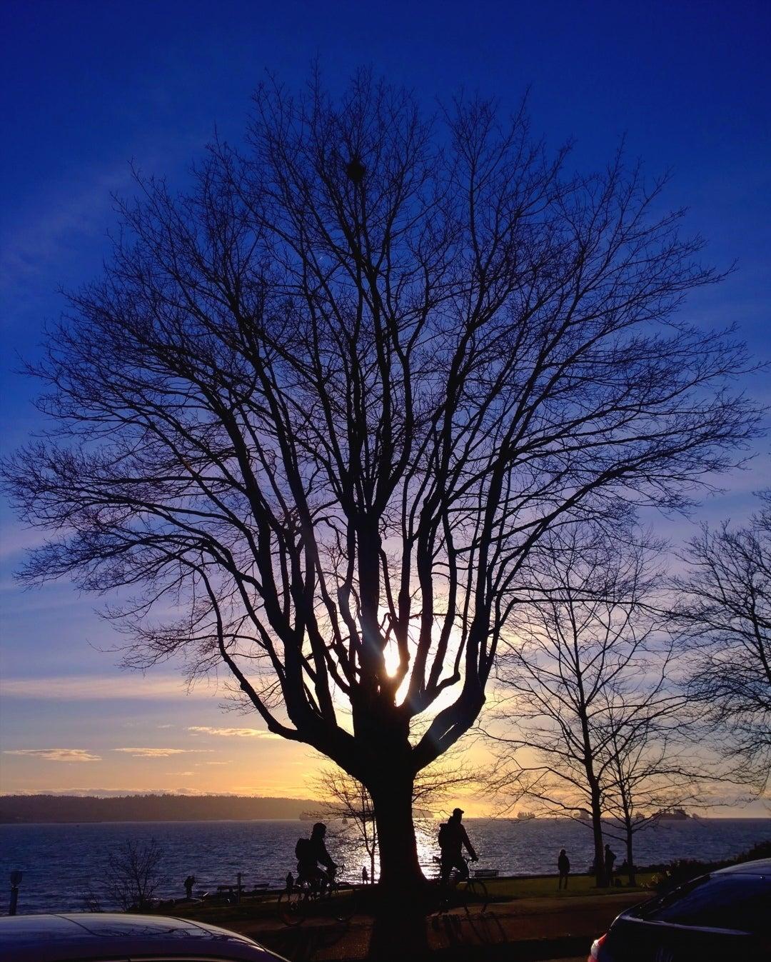 English Bay Bike Rentals