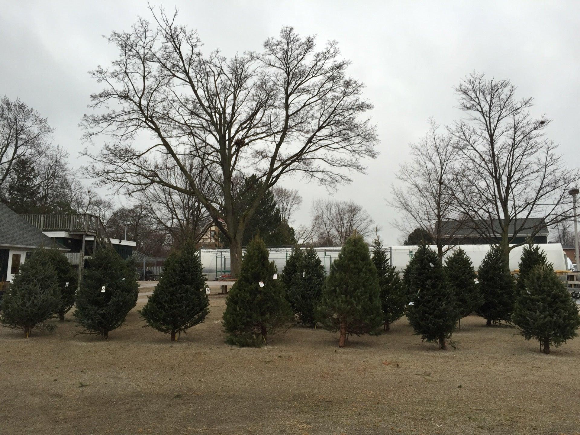 Cudmore's Garden Centre