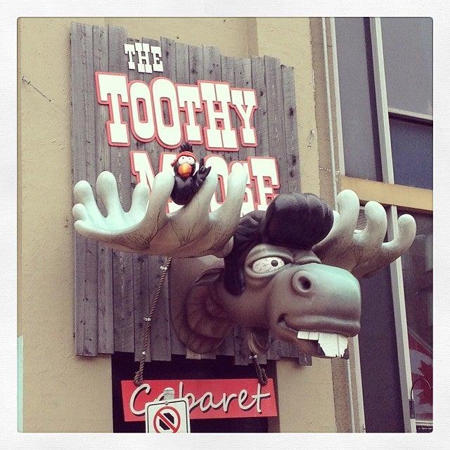 The Toothy Moose