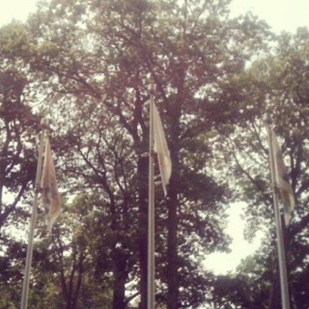 Kew Gardens Playground