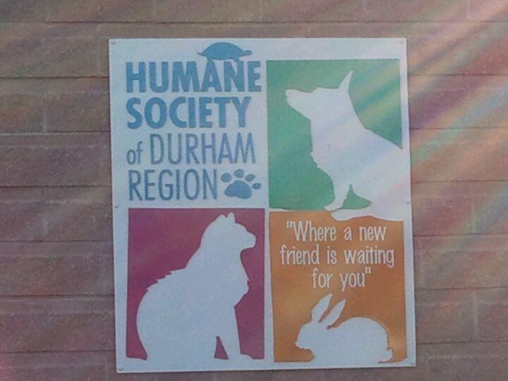 Humane Society of Durham Region