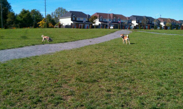 Gan Doggy Park