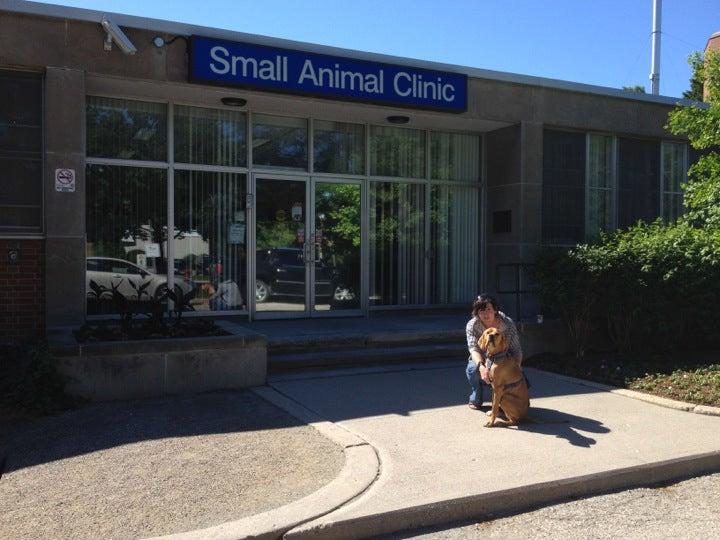 Small Animal Clinic