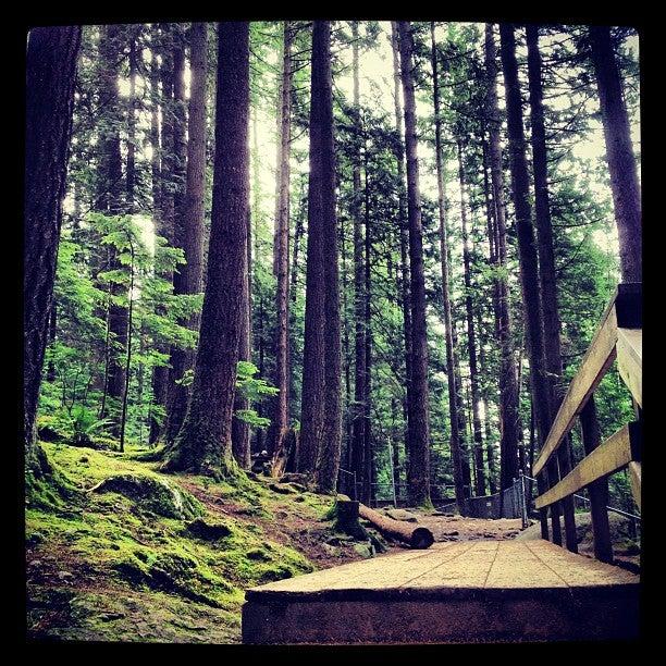 Lynn Canyon Suspension Bridge