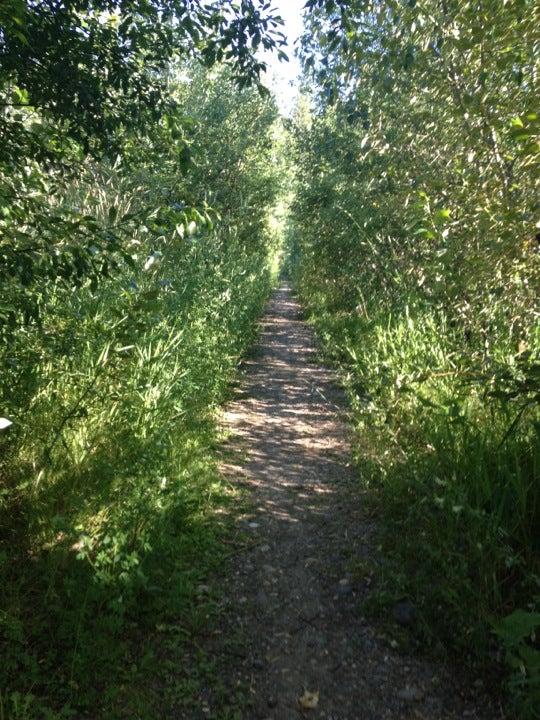 West Fraser Timber Park