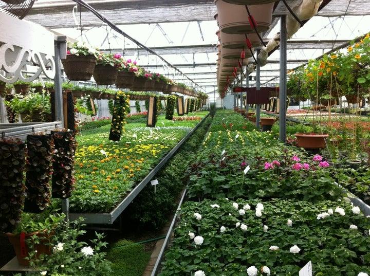 T Vanin Nursery & Greenhouses