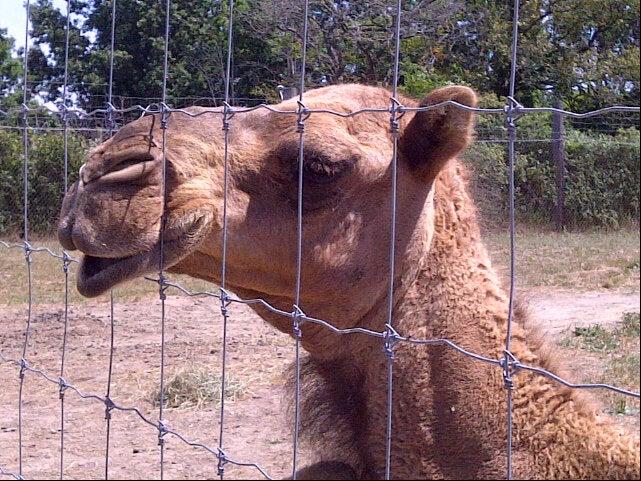 Brantford Twin Valley Zoo