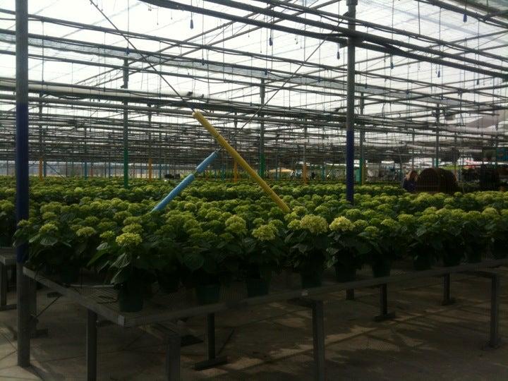 TERRA Greenhouses Ltd