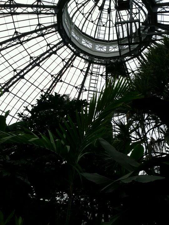 Allan Gardens Conservatory