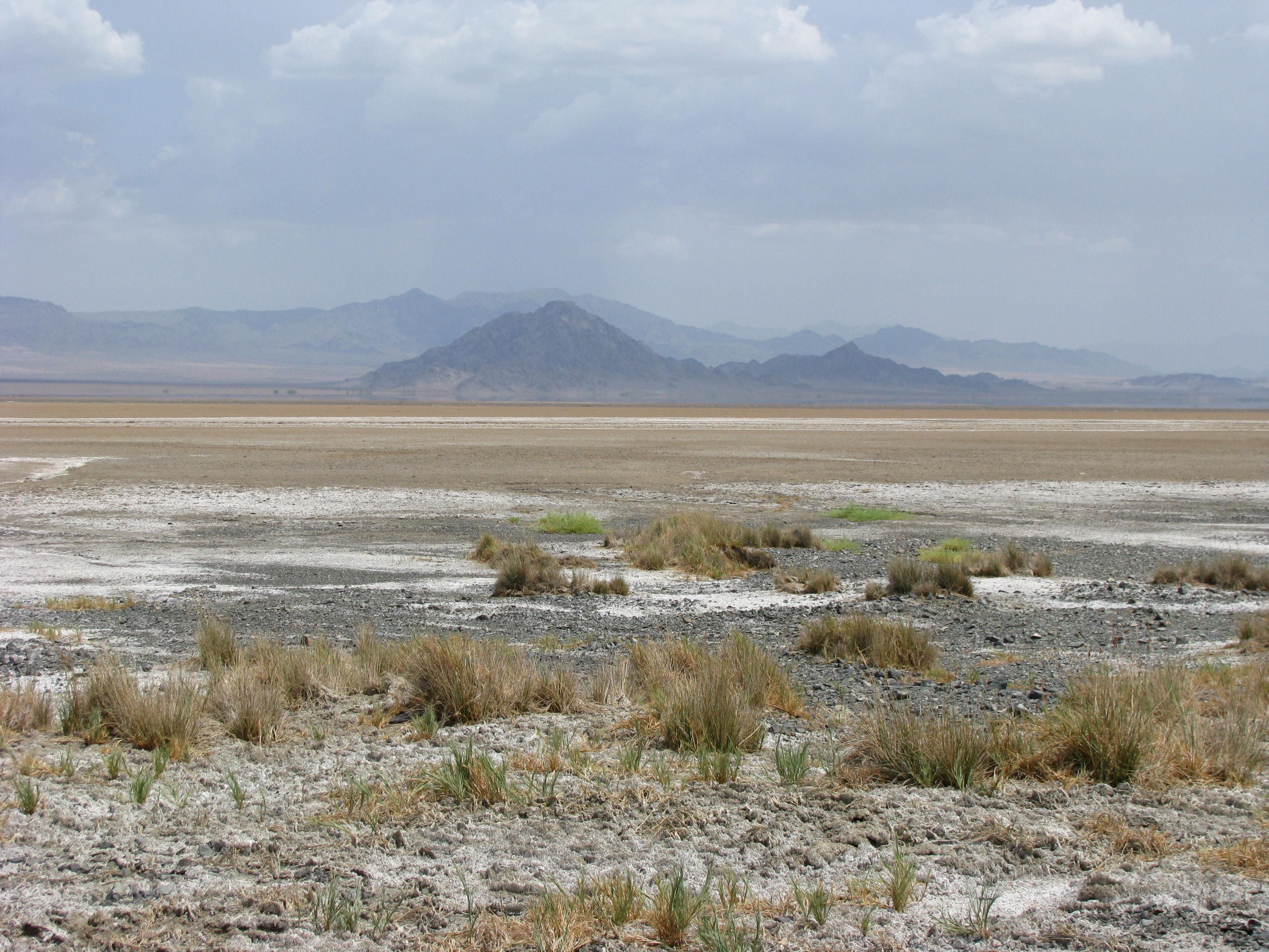 Mojave National Preserve