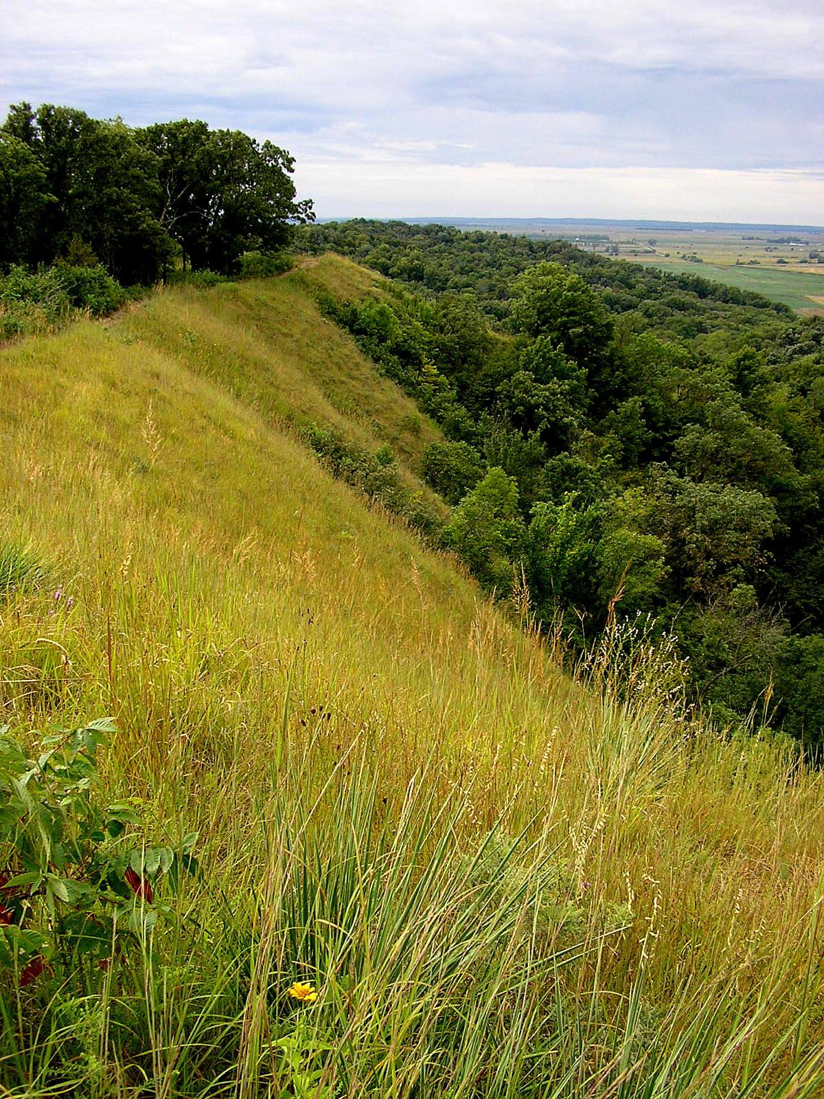 Waubonsie State Park