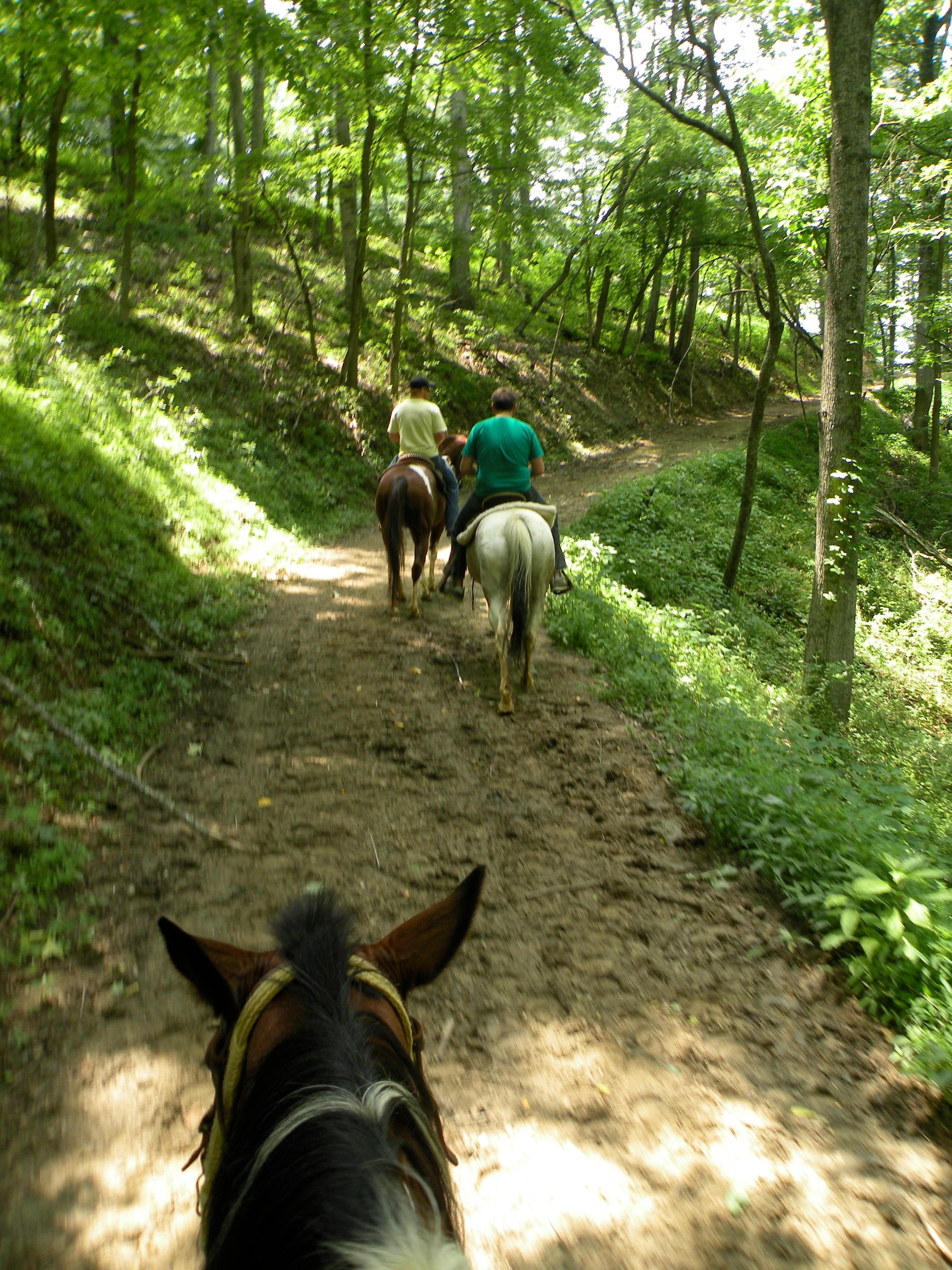 Sandy Bottom Trail Rides