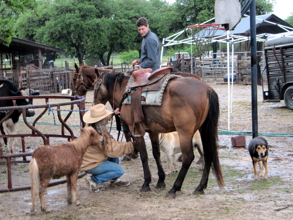 The Farmyard