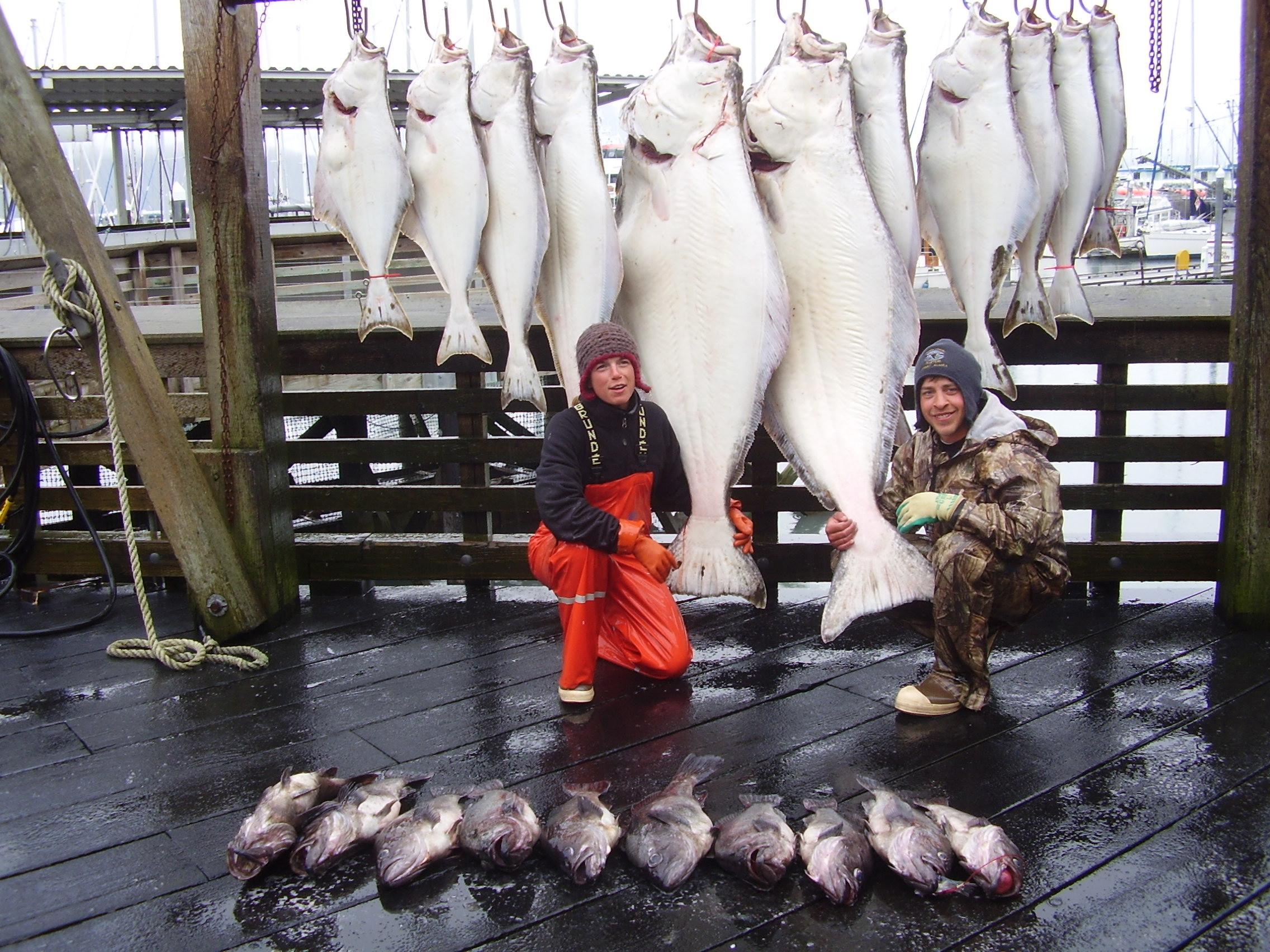 Puffin Fishing Charters