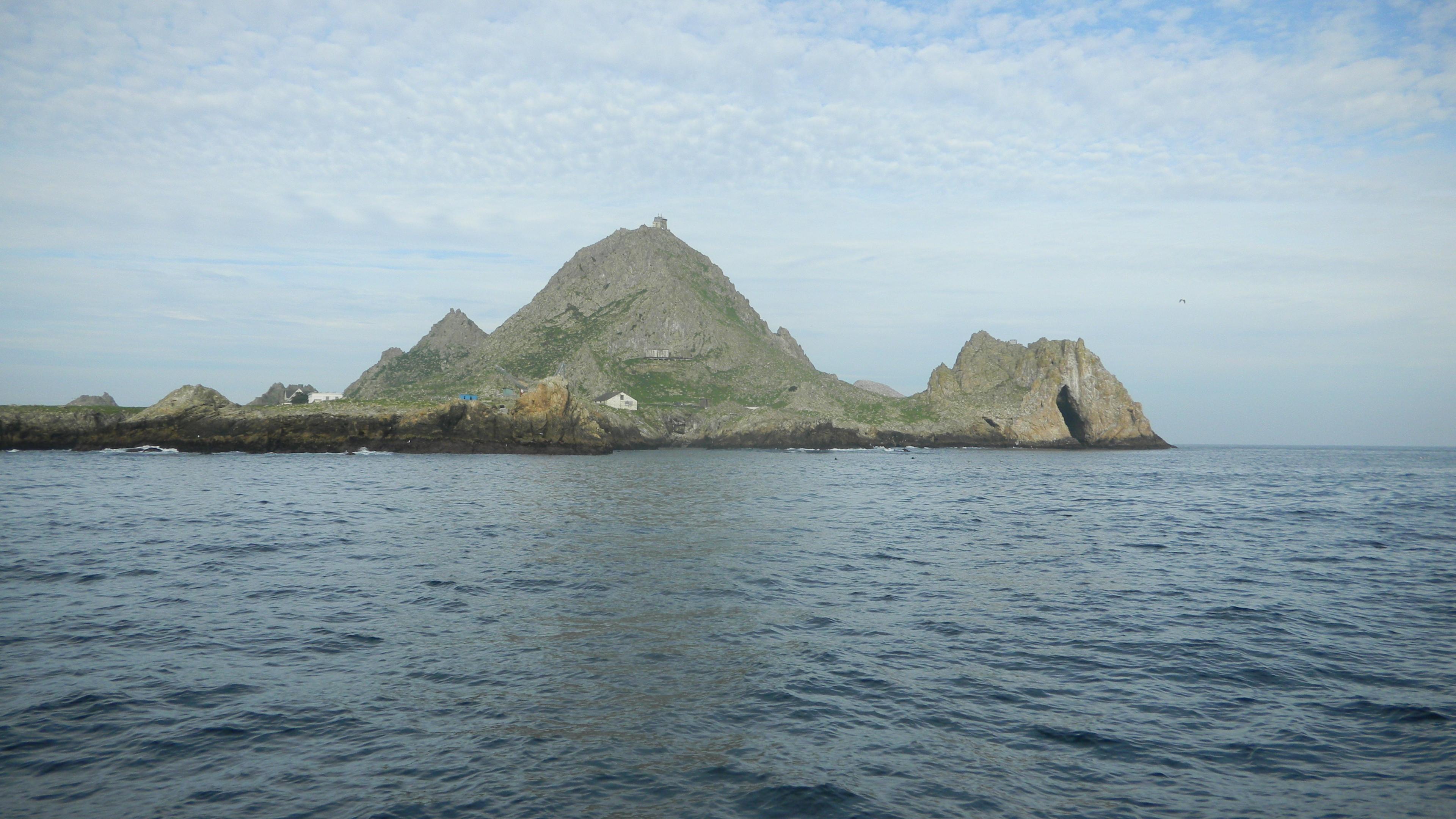 San Francisco Whale Tours