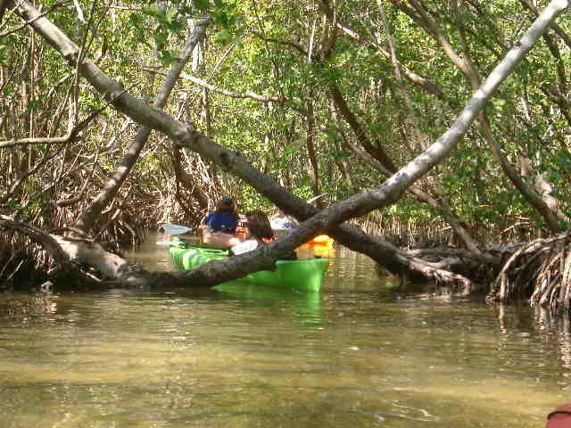 Almost Heaven Kayak Adventures