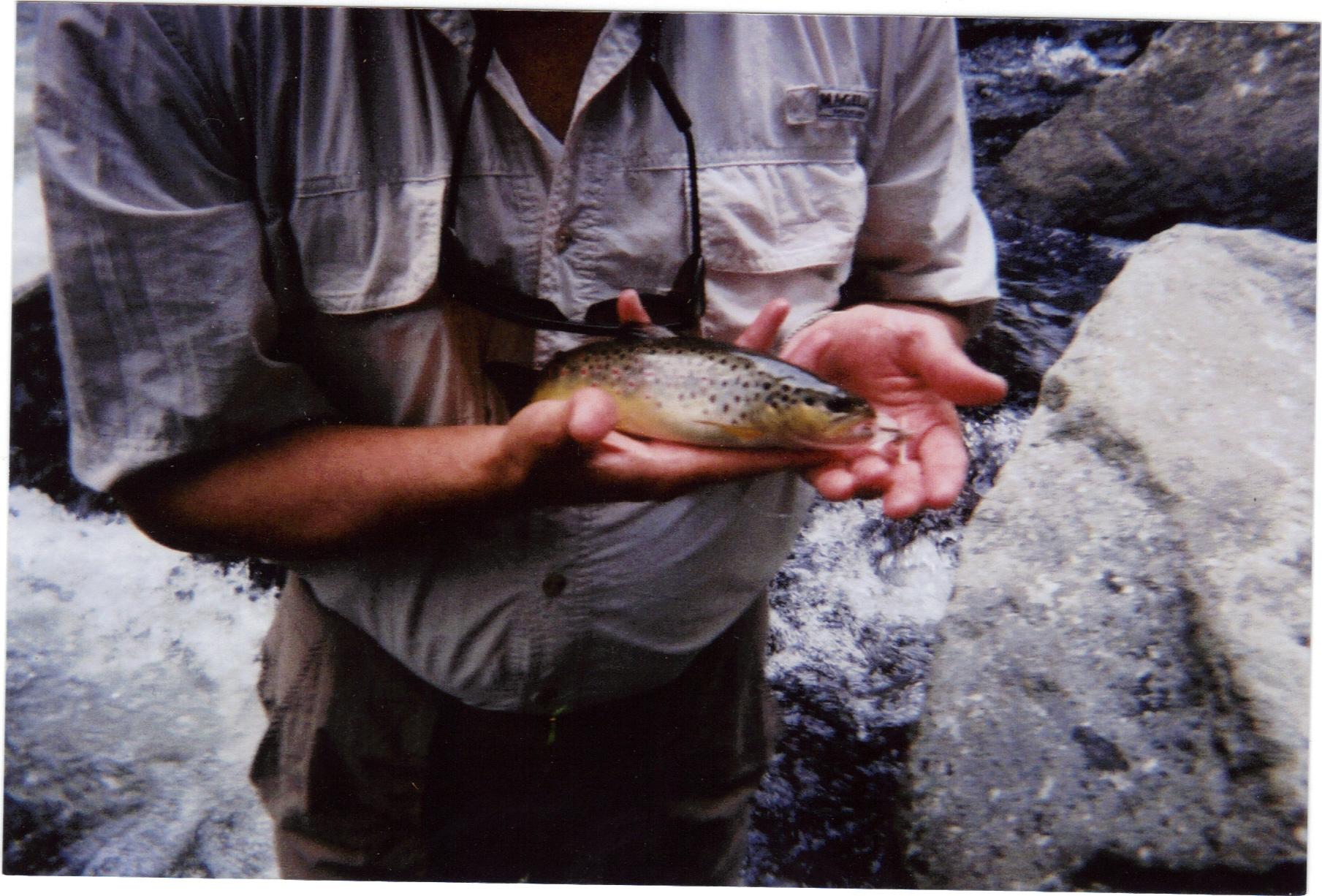 The Smoky Mountain Angler