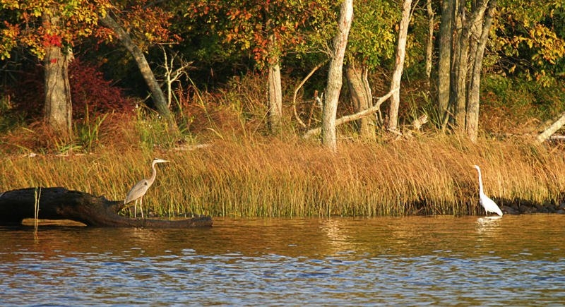 Connecticut River Museum